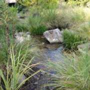 ヒメ日記 2025/08/22 22:48 投稿 川根真理子 五十路マダム愛されたい熟女たち 福山店(カサブランカグループ)