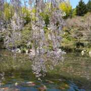 ヒメ日記 2026/04/05 21:14 投稿 川根真理子 五十路マダム愛されたい熟女たち 福山店(カサブランカグループ)