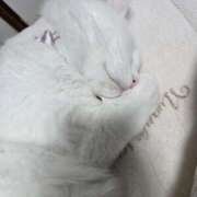 ヒメ日記 2026/01/05 18:44 投稿 【一ノ清 まき】 梅田ムチSpa女学院