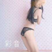 彩音(あやね) 💌11/24  10:30〜 S様💌 可憐な妻たち 高崎店