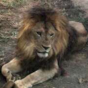 ヒメ日記 2025/10/02 15:19 投稿 澤田 鶯谷デッドボール