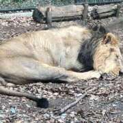 ヒメ日記 2026/03/06 18:59 投稿 澤田 鶯谷デッドボール