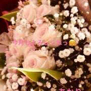 ヒメ日記 2025/04/01 16:39 投稿 あかり 熟女の風俗最終章 高崎店