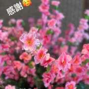 ヒメ日記 2025/04/15 15:38 投稿 あかり 熟女の風俗最終章 高崎店