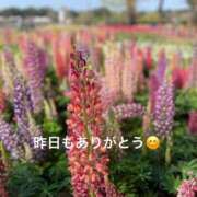 ヒメ日記 2025/04/26 11:08 投稿 あかり 熟女の風俗最終章 高崎店