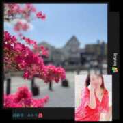 ヒメ日記 2025/05/31 15:28 投稿 あかり 熟女の風俗最終章 高崎店