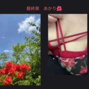 ヒメ日記 2025/09/02 19:38 投稿 あかり 熟女の風俗最終章 高崎店