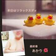 ヒメ日記 2025/09/12 16:28 投稿 あかり 熟女の風俗最終章 高崎店