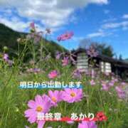 ヒメ日記 2025/09/20 18:28 投稿 あかり 熟女の風俗最終章 高崎店