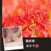 ヒメ日記 2025/09/30 16:48 投稿 あかり 熟女の風俗最終章 高崎店