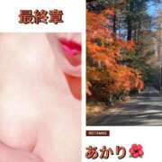 ヒメ日記 2025/10/12 12:58 投稿 あかり 熟女の風俗最終章 高崎店