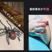 ヒメ日記 2026/01/27 12:48 投稿 あかり 熟女の風俗最終章 高崎店