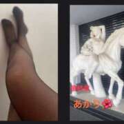 ヒメ日記 2026/02/01 14:28 投稿 あかり 熟女の風俗最終章 高崎店