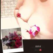 ヒメ日記 2026/02/14 12:29 投稿 あかり 熟女の風俗最終章 高崎店