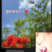 ヒメ日記 2026/04/11 12:50 投稿 あかり 熟女の風俗最終章 高崎店