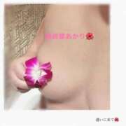 ヒメ日記 2026/06/01 14:51 投稿 あかり 熟女の風俗最終章 高崎店