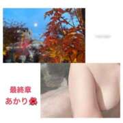 ヒメ日記 2026/08/12 18:48 投稿 あかり 熟女の風俗最終章 高崎店