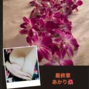 ヒメ日記 2026/08/17 17:48 投稿 あかり 熟女の風俗最終章 高崎店