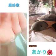 ヒメ日記 2026/08/19 12:28 投稿 あかり 熟女の風俗最終章 高崎店
