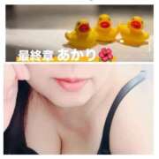 ヒメ日記 2026/08/20 11:48 投稿 あかり 熟女の風俗最終章 高崎店