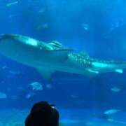 ヒメ日記 2025/05/19 13:29 投稿 絵美奈(えみな) エリートな人妻たち新宿