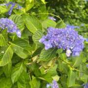 ヒメ日記 2025/06/07 14:59 投稿 絵美奈(えみな) エリートな人妻たち新宿