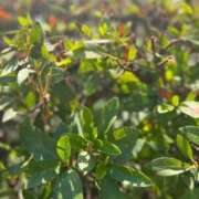 ヒメ日記 2025/07/23 14:49 投稿 絵美奈(えみな) エリートな人妻たち新宿