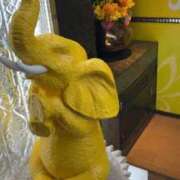 ヒメ日記 2025/11/08 21:49 投稿 絵美奈(えみな) エリートな人妻たち新宿