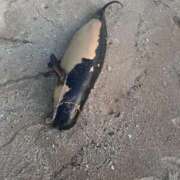 ヒメ日記 2025/11/28 15:19 投稿 絵美奈(えみな) エリートな人妻たち新宿