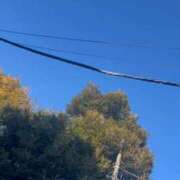 ヒメ日記 2025/12/04 14:09 投稿 絵美奈(えみな) エリートな人妻たち新宿