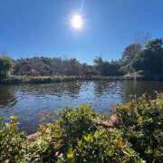 ヒメ日記 2025/12/15 12:59 投稿 絵美奈(えみな) エリートな人妻たち新宿