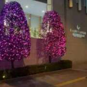 ヒメ日記 2026/02/10 01:59 投稿 絵美奈(えみな) エリートな人妻たち新宿