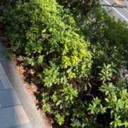 ヒメ日記 2026/03/09 17:09 投稿 絵美奈(えみな) エリートな人妻たち新宿