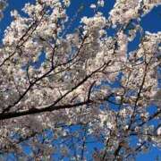 ヒメ日記 2026/04/02 19:49 投稿 絵美奈(えみな) エリートな人妻たち新宿