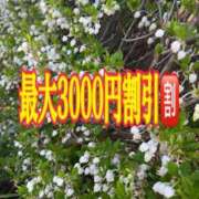 ヒメ日記 2026/04/08 17:09 投稿 絵美奈(えみな) エリートな人妻たち新宿