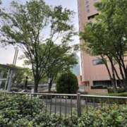 ヒメ日記 2026/04/13 17:49 投稿 絵美奈(えみな) エリートな人妻たち新宿