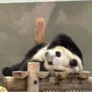 ヒメ日記 2025/06/25 22:23 投稿 みおり 奥様特急三条店