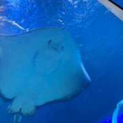 ヒメ日記 2025/07/01 14:23 投稿 みおり 奥様特急三条店