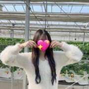 ヒメ日記 2025/04/10 10:46 投稿 真由(まゆ) 高崎回春性感SPA