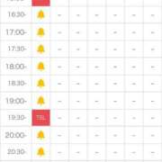 ヒメ日記 2025/03/19 16:29 投稿 いずみ 愛媛松山ちゃんこ