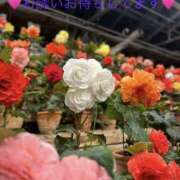 ヒメ日記 2026/01/26 09:43 投稿 みやこ 完熟とまと(十三)