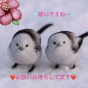 ヒメ日記 2026/02/09 10:21 投稿 みやこ 完熟とまと(十三)