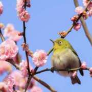 ヒメ日記 2026/03/02 10:32 投稿 みやこ 完熟とまと(十三)