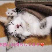 ヒメ日記 2026/03/09 11:41 投稿 みやこ 完熟とまと(十三)