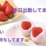 ヒメ日記 2026/03/16 10:54 投稿 みやこ 完熟とまと(十三)