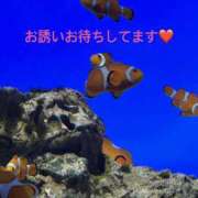 ヒメ日記 2026/03/30 13:30 投稿 みやこ 完熟とまと(十三)