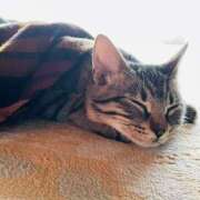 ヒメ日記 2026/04/06 10:57 投稿 みやこ 完熟とまと(十三)