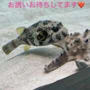 ヒメ日記 2026/04/13 10:16 投稿 みやこ 完熟とまと(十三)