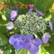 ヒメ日記 2026/06/21 22:19 投稿 みやこ 完熟とまと(十三)