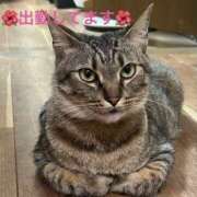 ヒメ日記 2026/06/22 12:53 投稿 みやこ 完熟とまと(十三)